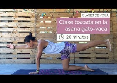 Curso Yoga Clase 6